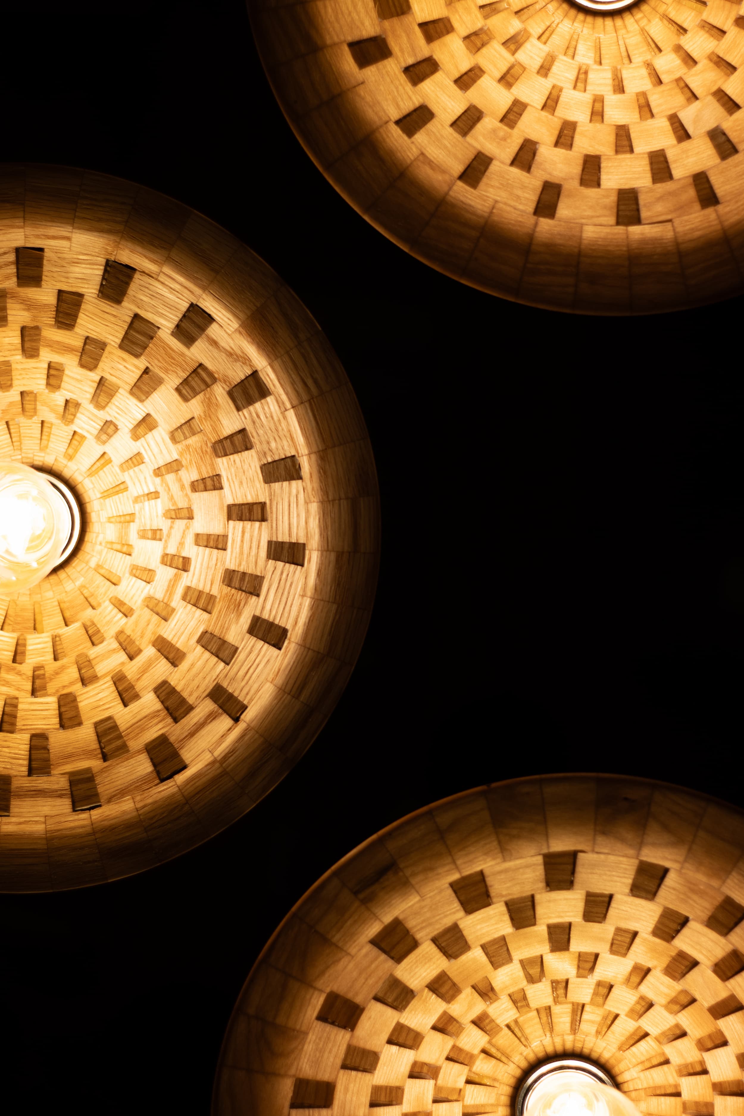 The Fallout Pendant Light